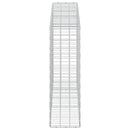 Gabion med 5 mm Tråd og 10x10 cm Net 250x30x100 cm