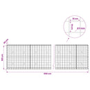 Gabion med 5 mm Tråd og 10x10 cm Net 550x30x100 cm