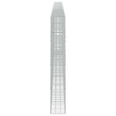 Gabion med 5 mm Tråd og 10x10 cm Net 1000x30x200 cm