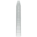 Gabion med 5 mm tråd og 10x10 cm net 1150x30x200 cm