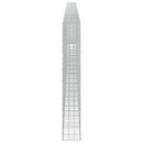 Gabion med 5 mm Tråd og 10x10 cm Net 1200x30x200 cm