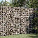 Gabion med 5 mm Tråd og 10x10 cm Net 100x50x150 cm