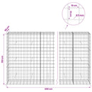 Gabion med 5 mm Tråd og 10x10 cm Net 650x50x150 cm