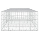 Gabion med 5 mm Tråd og 10x10 cm Net 250x100x50 cm