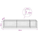 Gabion med 5 mm Tråd og 10x10 cm Net 250x100x50 cm