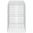 Gabion med 5 mm Tråd og 10x10 cm Net 250x100x150 cm