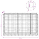 Gabion med 5 mm Tråd og 10x10 cm Net 250x100x150 cm