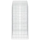 Gabion med 5 mm Tråd og 10x10 cm Net 250x100x200 cm