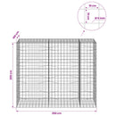 Gabion med 5 mm Tråd og 10x10 cm Net 250x100x200 cm