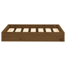 hundeseng 61,5x49x9 cm massivt fyrretræ gyldenbrun - xlshop.dk