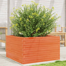 plantekasse 80x80x45,5 cm massivt fyrretræ gyldenbrun - xlshop.dk
