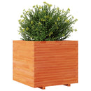 plantekasse 80x80x72 cm massivt fyrretræ gyldenbrun - xlshop.dk
